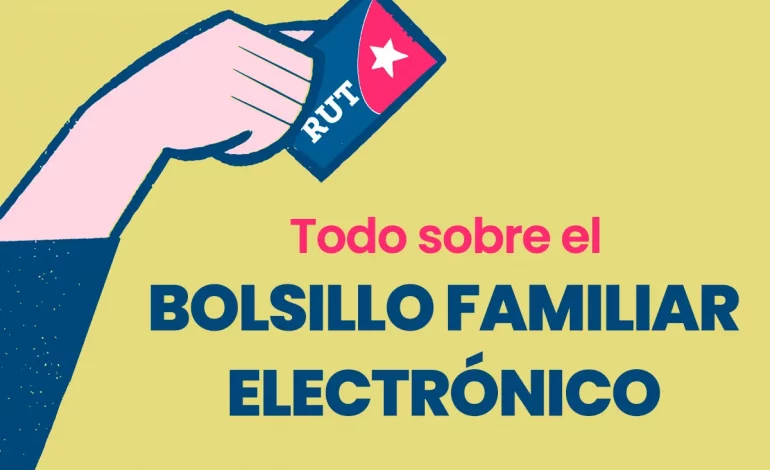 Bolsillo Familiar Electrónico: Información Clave